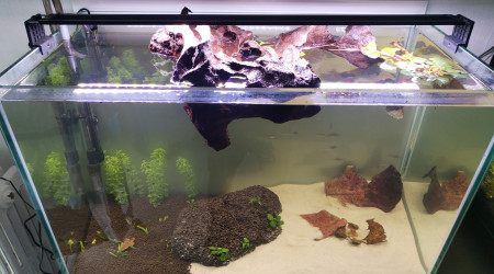 aquarium 160 litre