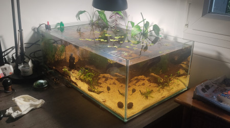 aquarium Shallow 70