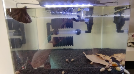 aquarium Scapers 35L Dennerle