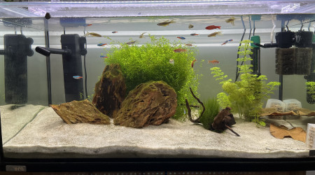 aquarium Sera AquaTank