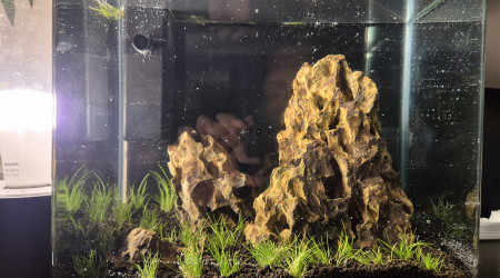 aquarium Nano Iwagumi