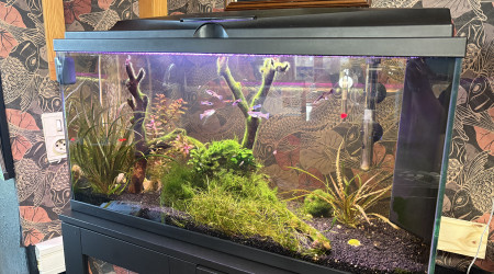 aquarium Tititarium