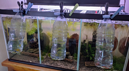 96L commu transformé en  3x30L élevage crevettes