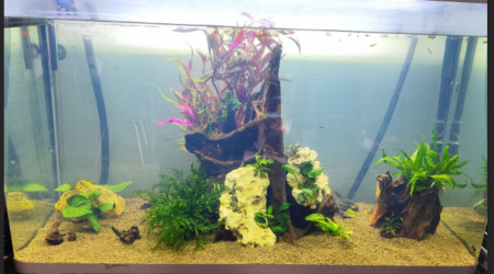 aquarium Osaka 280