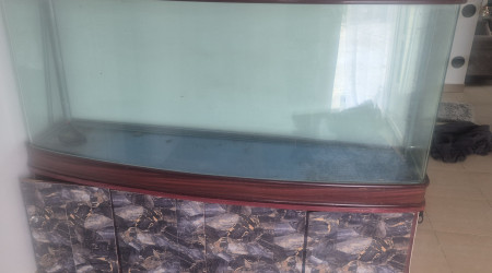 aquarium Aquarium