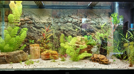 aquarium Juwel Rio 350