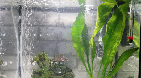 aquarium Superfish Start 30 Tropical