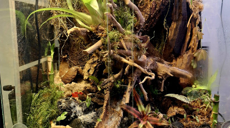 aquarium Charlie et ses