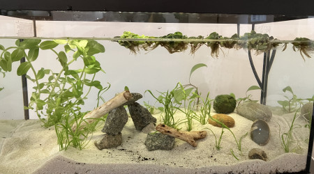 aquarium Nano Enfant