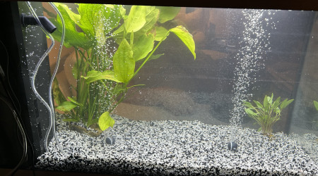 aquarium Rio