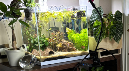 aquarium Superfish start 30 Stella