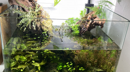 aquarium Nouveau 30L