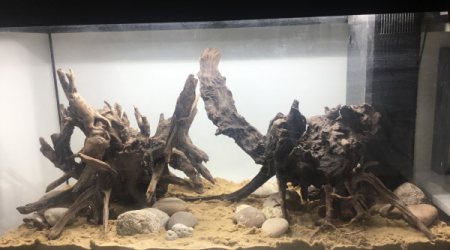 Installation du hardscape