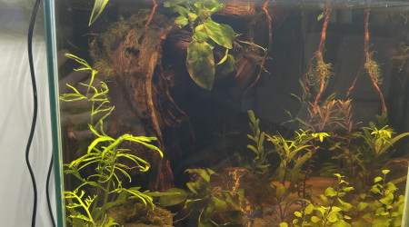 aquarium 30L
