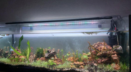 aquarium Aqua suite 22 06 25