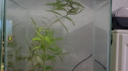aquarium Medic creucreux