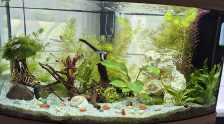 aquarium aquarium salon