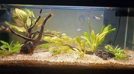 aquarium Yay14