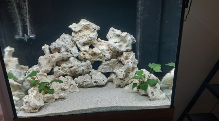 aquarium biotope lac malawi    200 litres
