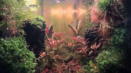 Lithion - the Bucce Valley