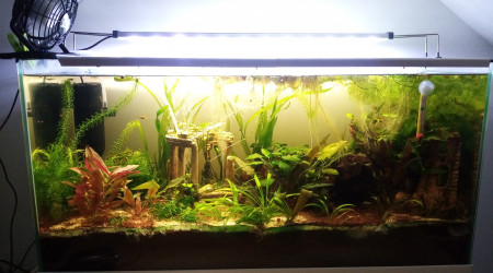 aquarium Aquarium feel good 76L
