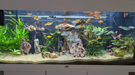aquarium JUWEL RIO180 ENTREE