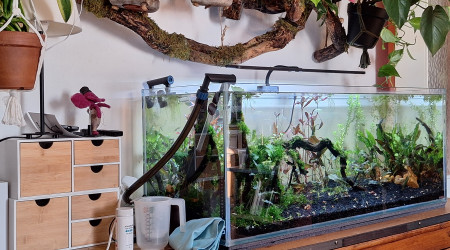 Nouvelle rampe Ireenuo 3060