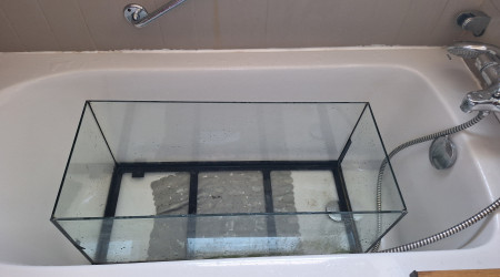 CaCO3 + 2 HCl → CO2↗ + H2O + CaCl2