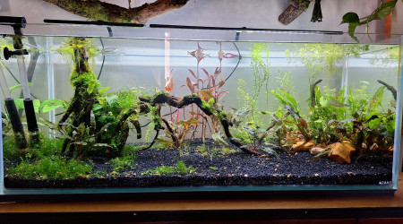 Ajout de la ireenuo 3030