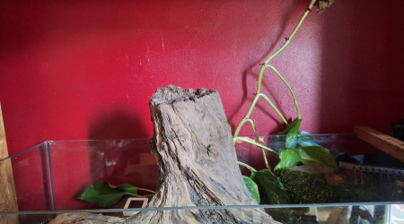 Ça gêne pour mettre la rampe