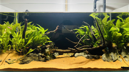 aquarium Premier bac