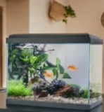 aquarium Vivaquaria