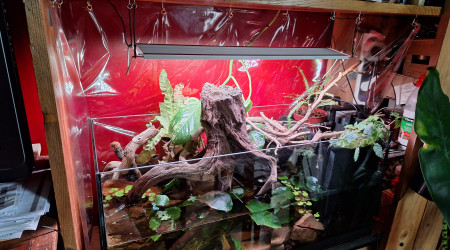 aquarium Paludarium