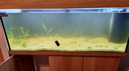 Nettoyage total et Black out