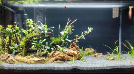 aquarium Ciano