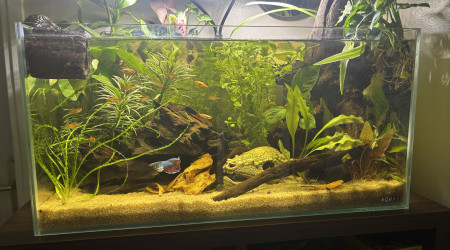 aquarium Tank AQUAEL 60 Stella