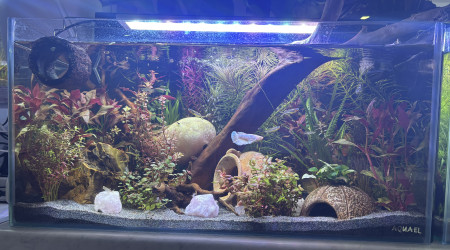 aquarium Tank AQUAEL 60 Perle
