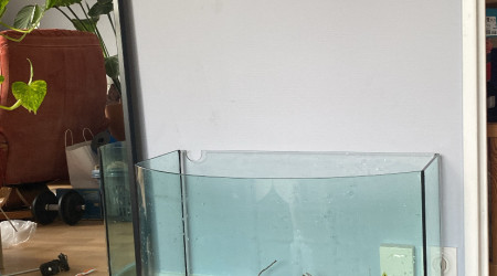aquarium Projet 110 litres