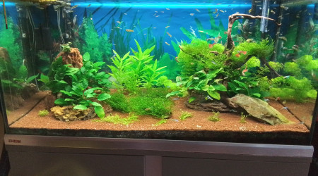 aquarium Bac 250 L