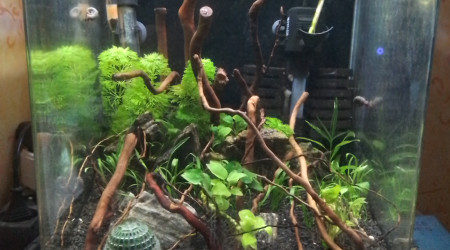 aquarium Bac 30 L
