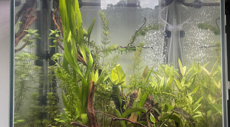 aquarium Aqua colonne 50 170 l 150