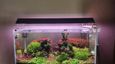 aquarium Cuve 112L Aquael