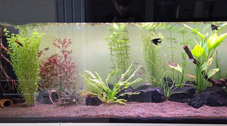 aquarium Aquarium 500L