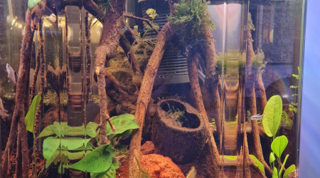 aquarium Octogone
