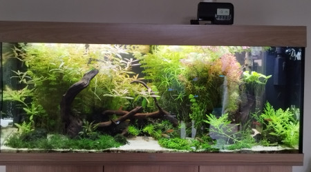 aquarium Rio 240