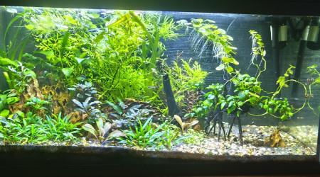 aquarium Tanker