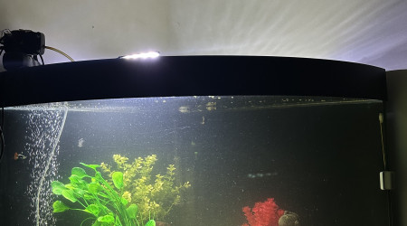 aquarium LoulaxFISH