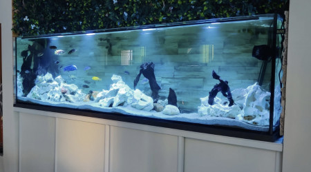aquarium 1000 litres