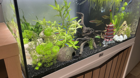 aquarium La fosse aux poissons