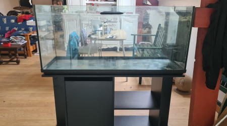 aquarium Tanganyika